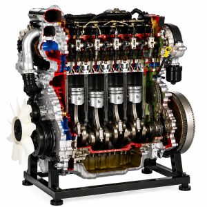 Cut Section of Single Cylinder Four Stroke Diesel Engine